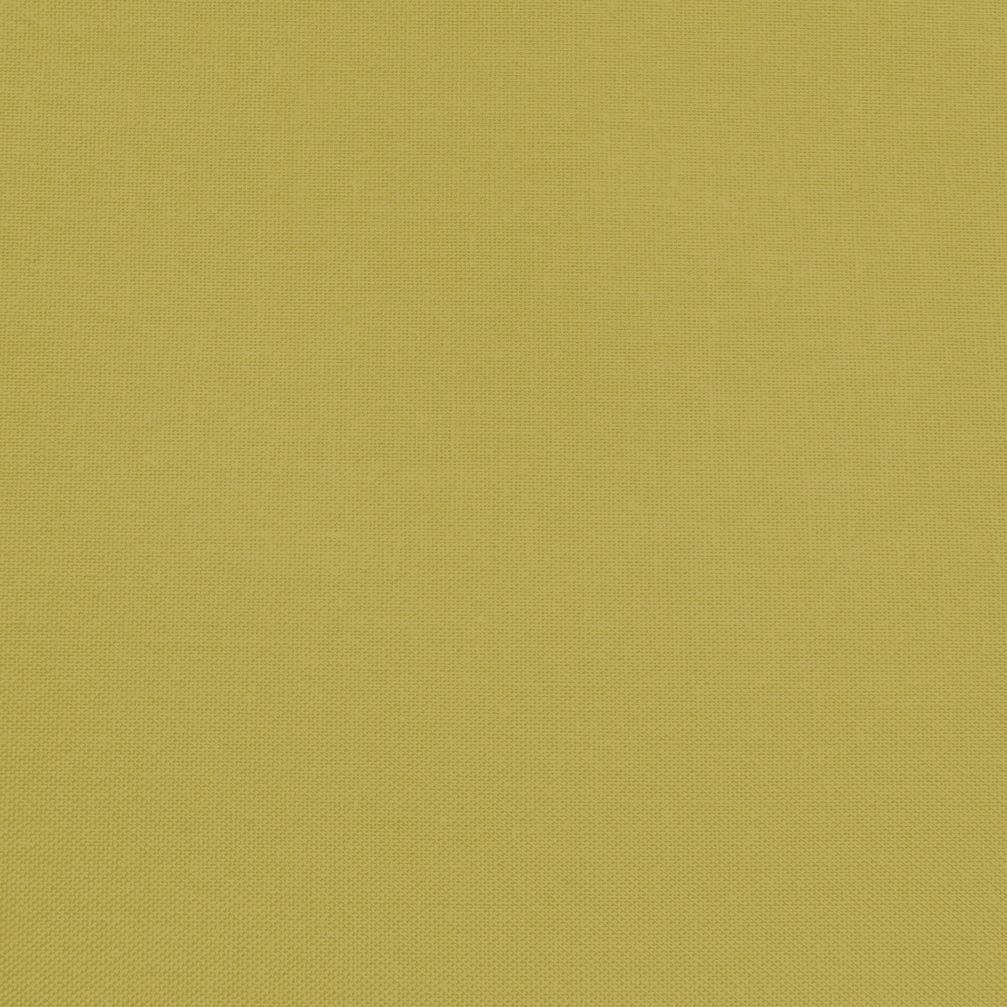 Confetti Cotton - Asparagus - Sewfinity.com