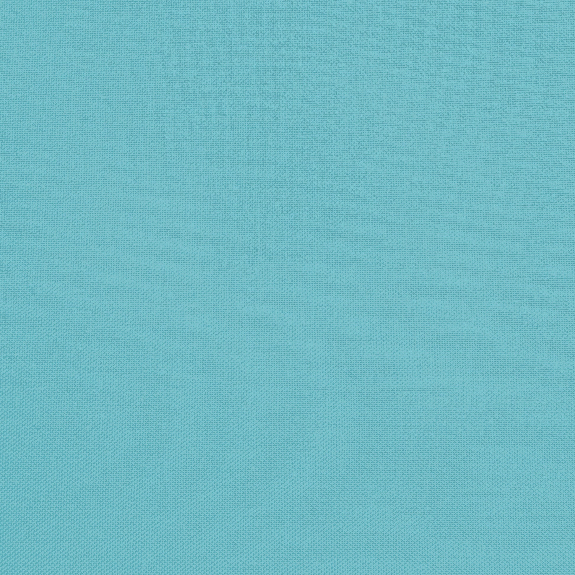 Confetti Cotton - Bear Lake - Sewfinity.com