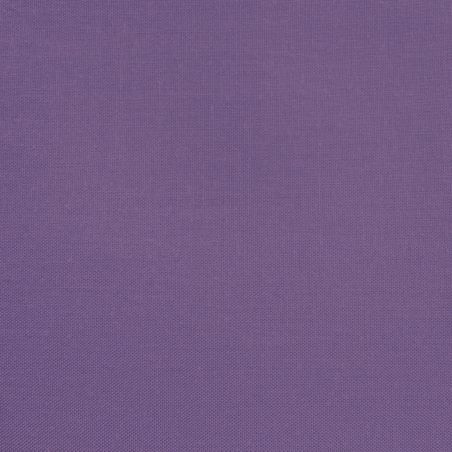 Confetti Cotton - Grape - Sewfinity.com