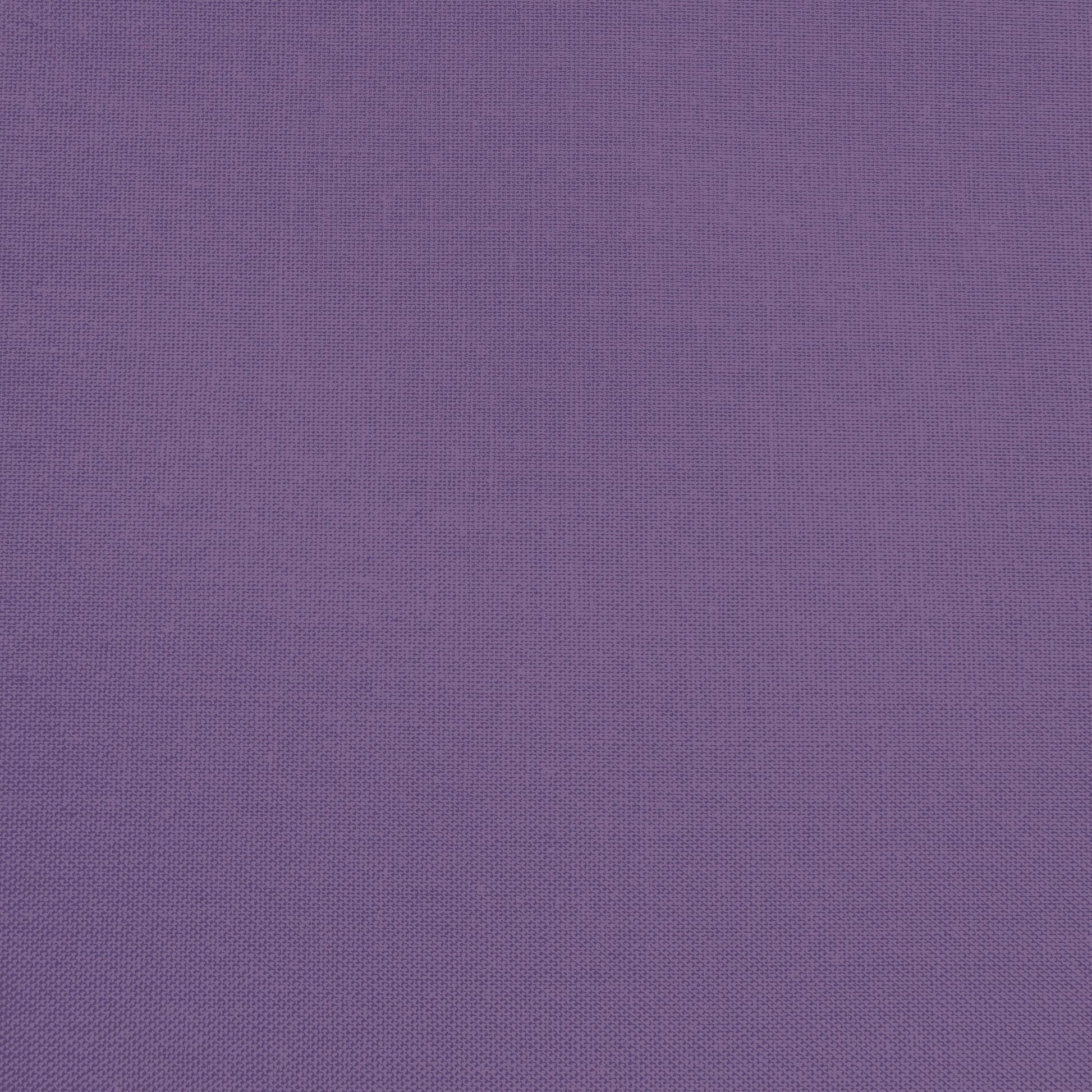 Confetti Cotton - Grape - Sewfinity.com