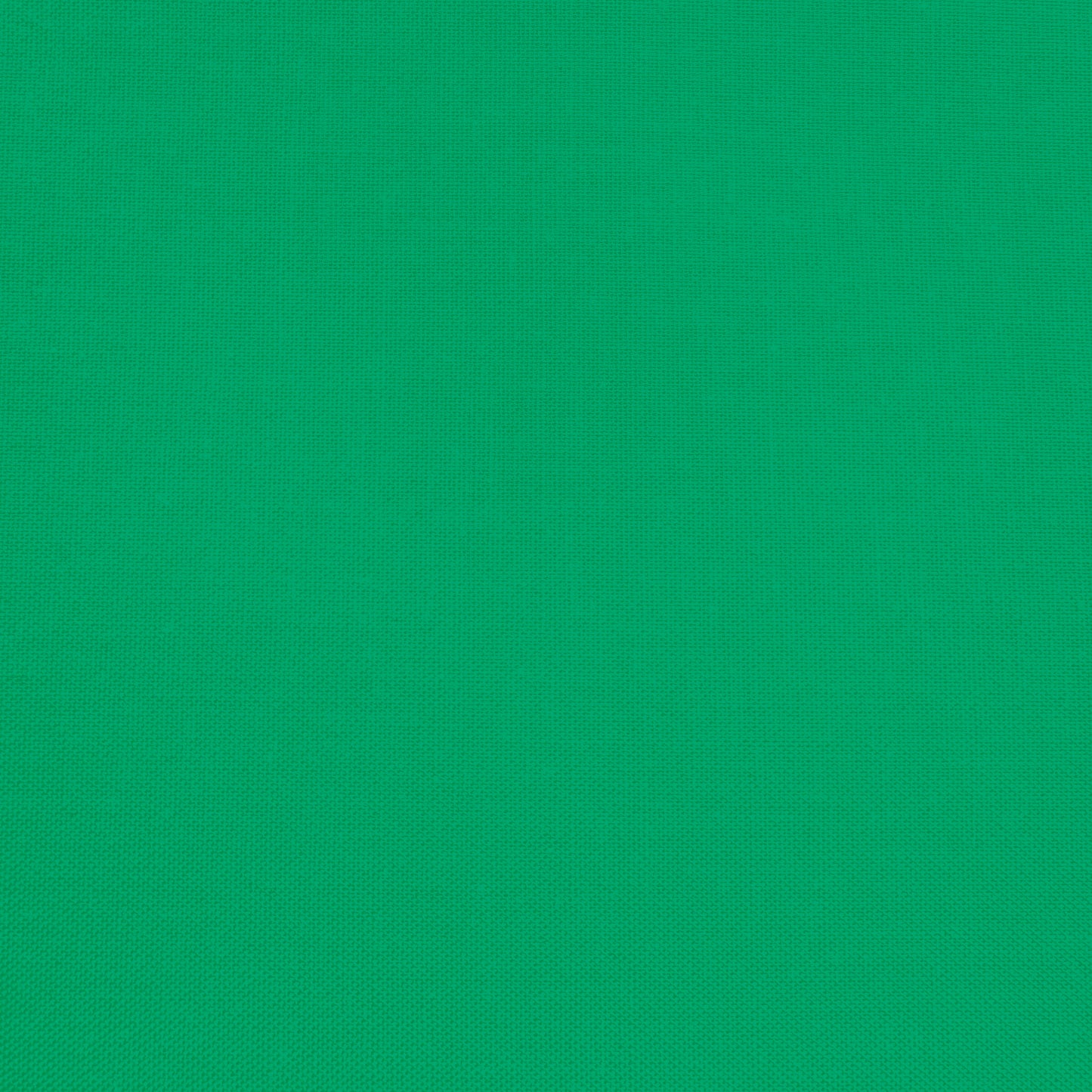 Confetti Cotton - Kelly - Sewfinity.com