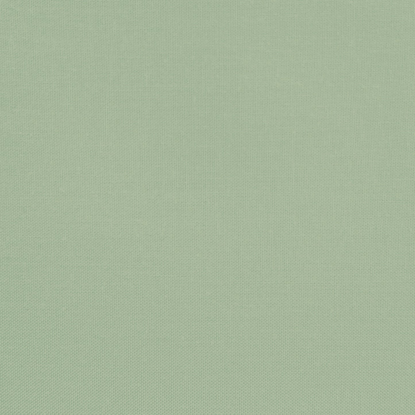 Confetti Cotton - Pistachio - Sewfinity.com