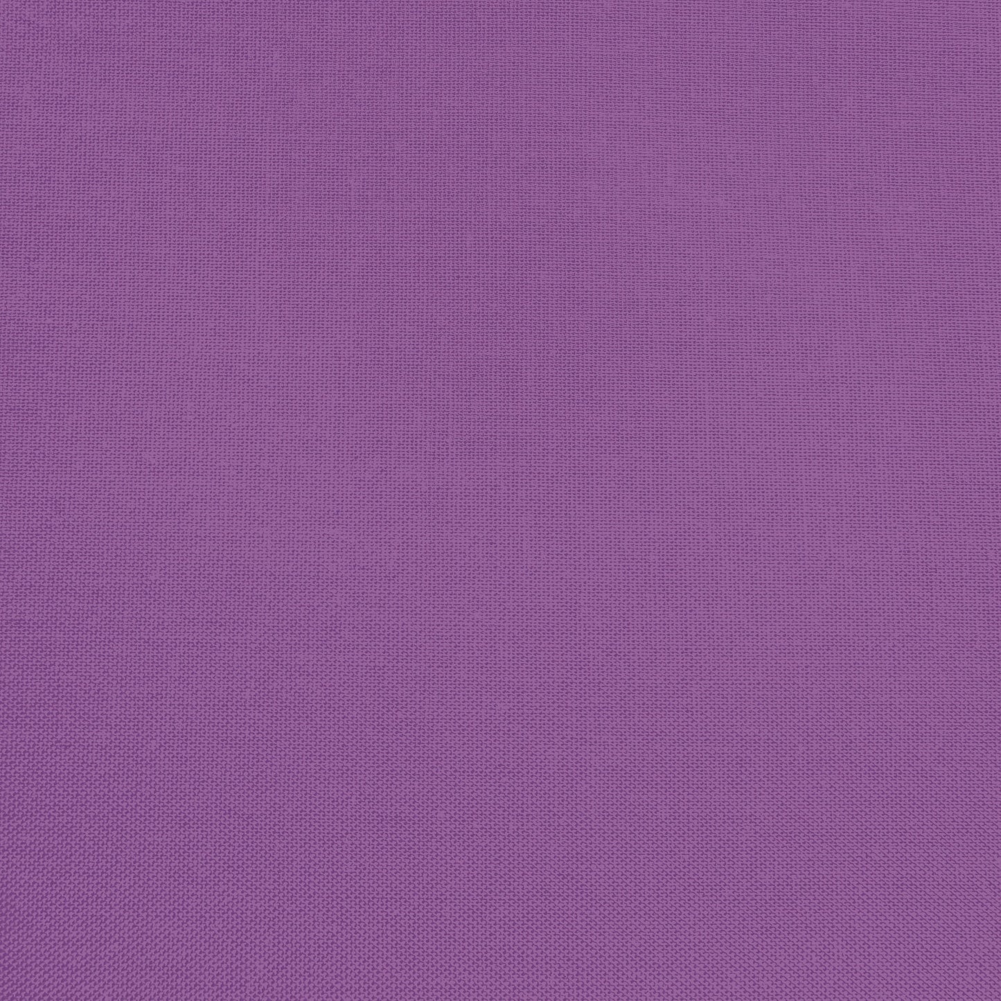 Confetti Cotton - Purple - Sewfinity.com