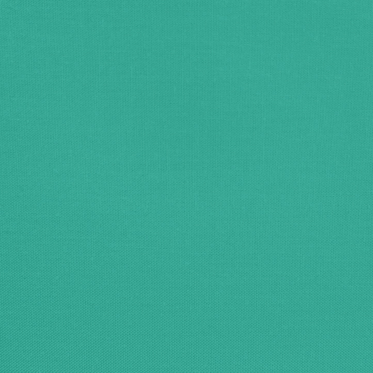 Confetti Cotton - Rainforest - Sewfinity.com