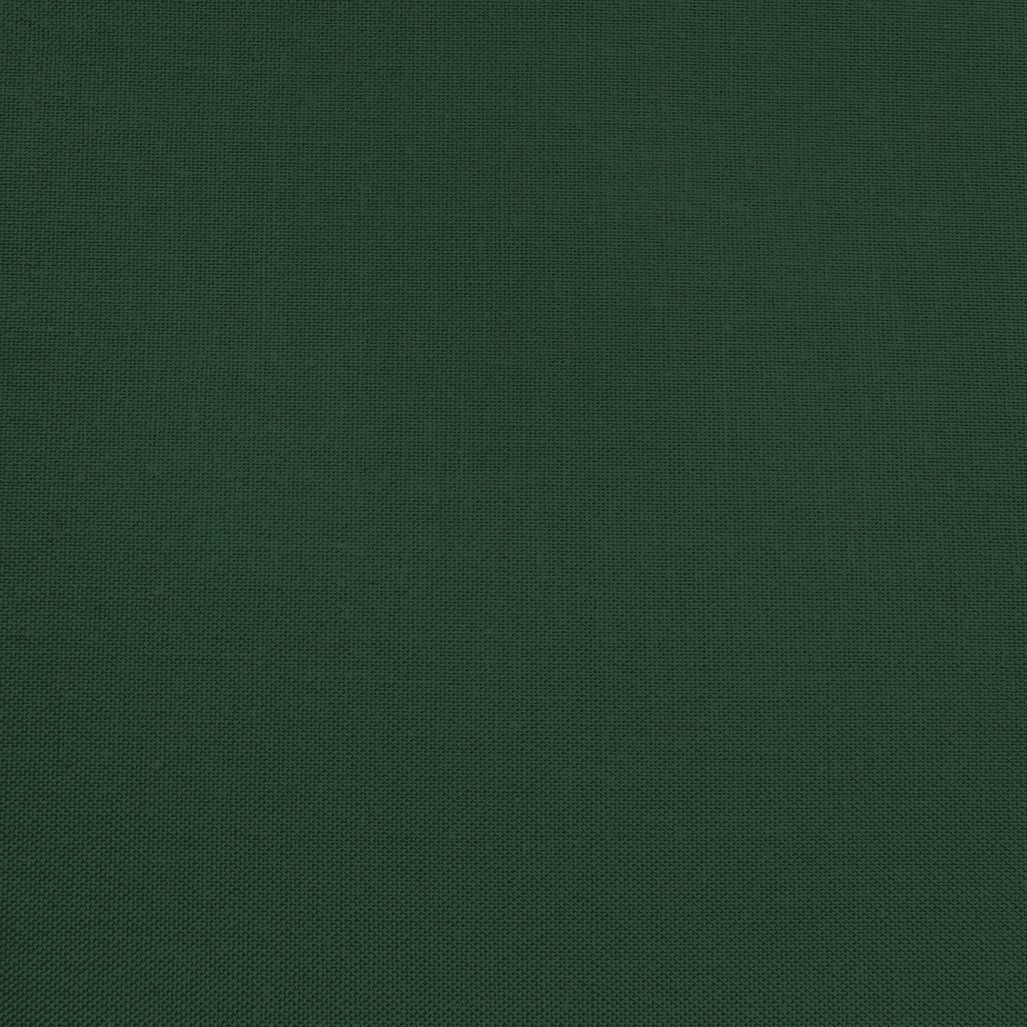 Confetti Cotton - Woodland - Sewfinity.com