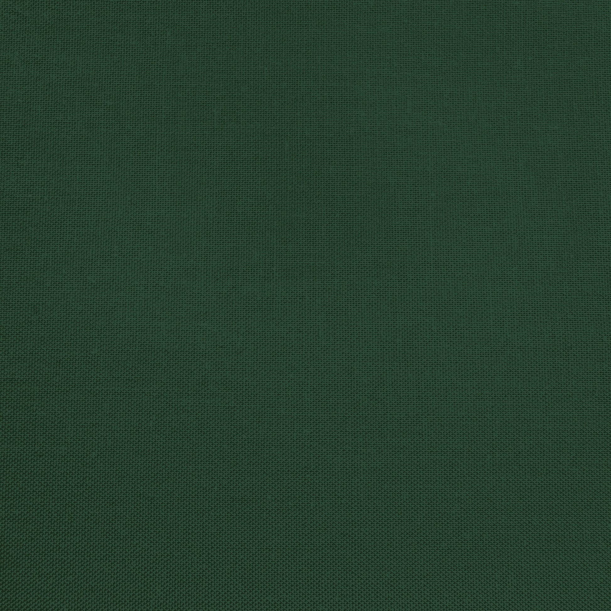 Confetti Cotton - Woodland - Sewfinity.com