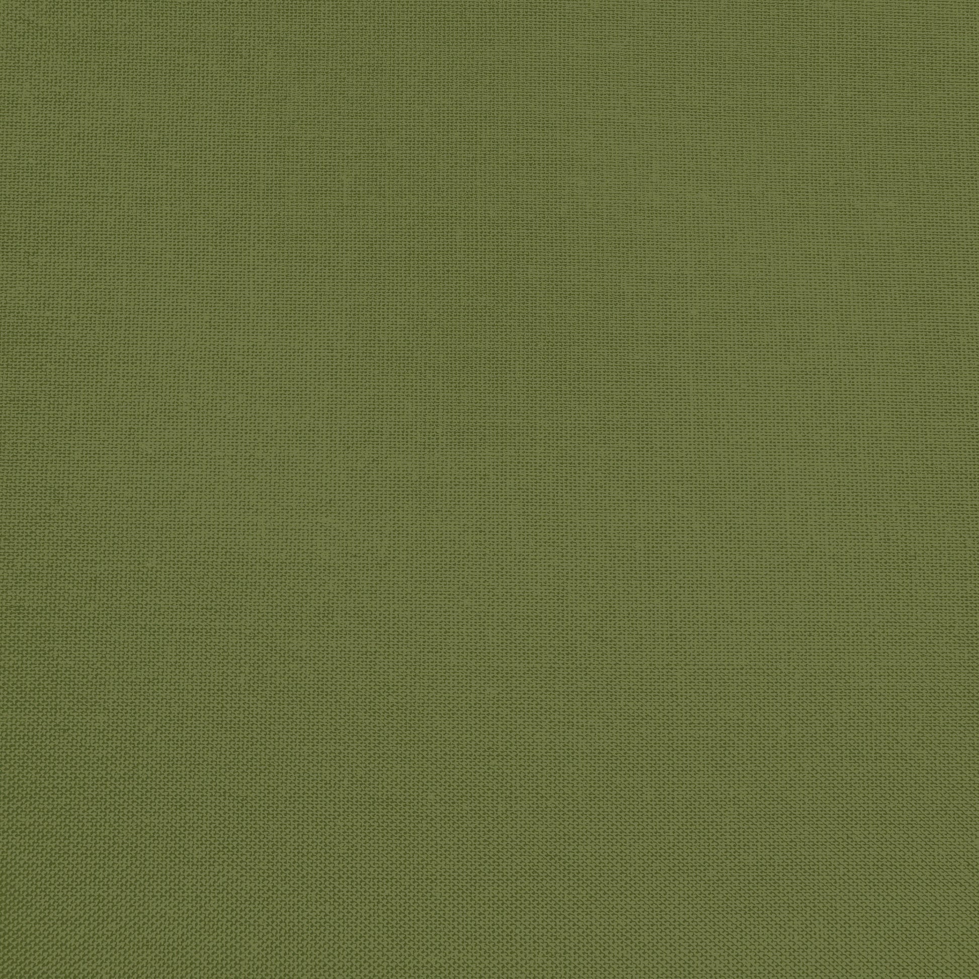 Confetti Cotton - Zucchini - Sewfinity.com