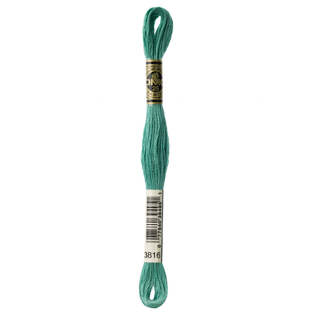 DMC 3816 Embroidery Floss - Sewfinity.com