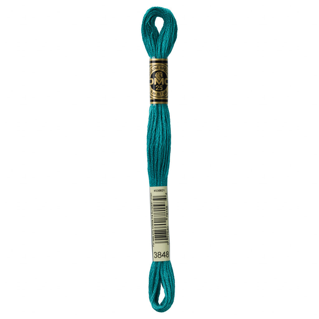 DMC 3848 Embroidery Floss - Sewfinity.com