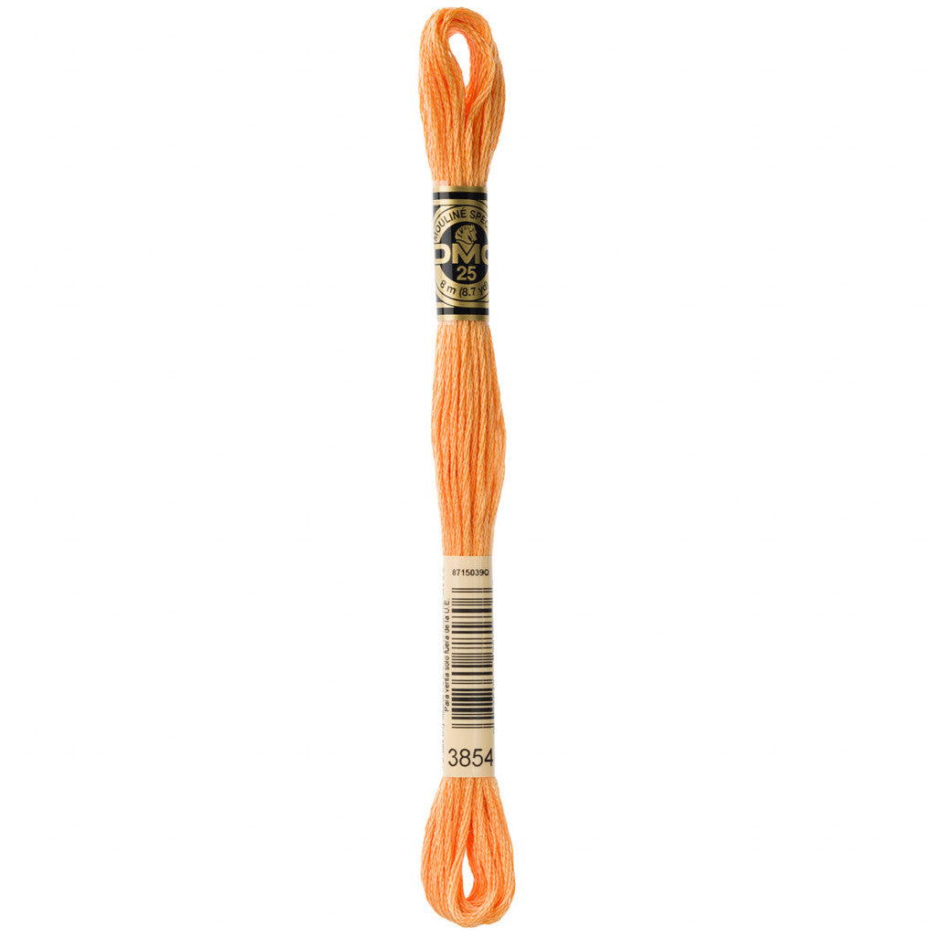 DMC 3854 Embroidery Floss - Sewfinity.com
