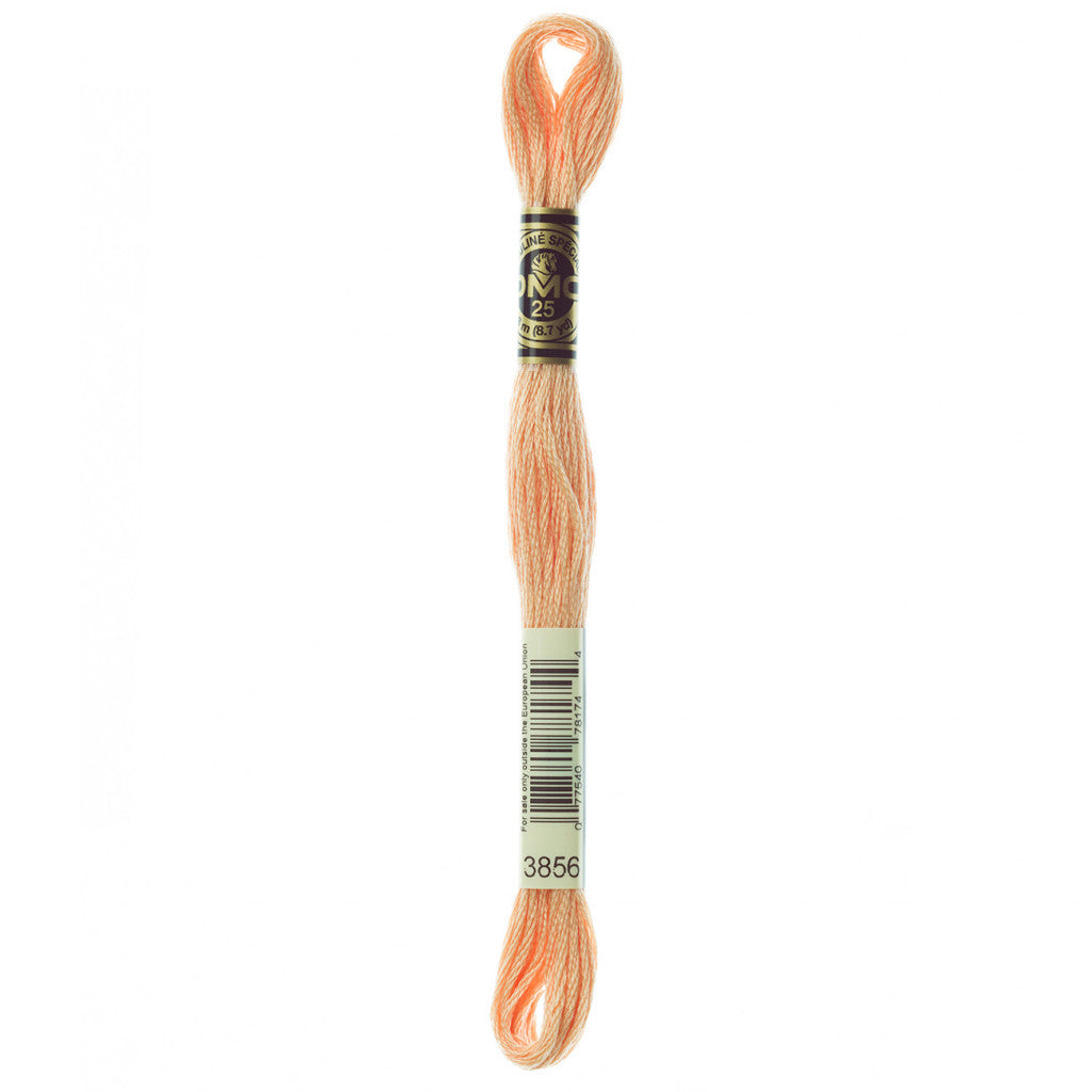 DMC 3856 Embroidery Floss - Sewfinity.com