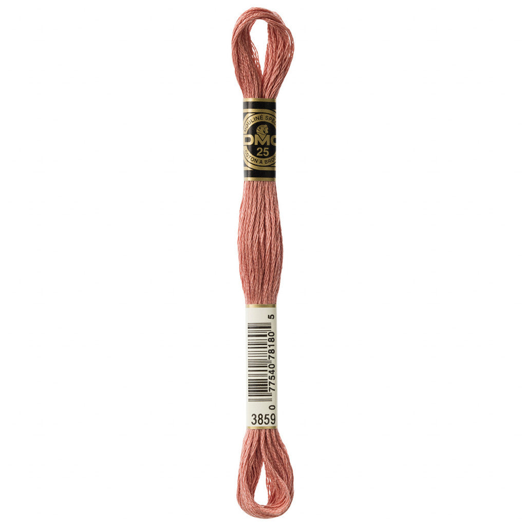 DMC 3859 Embroidery Floss - Sewfinity.com