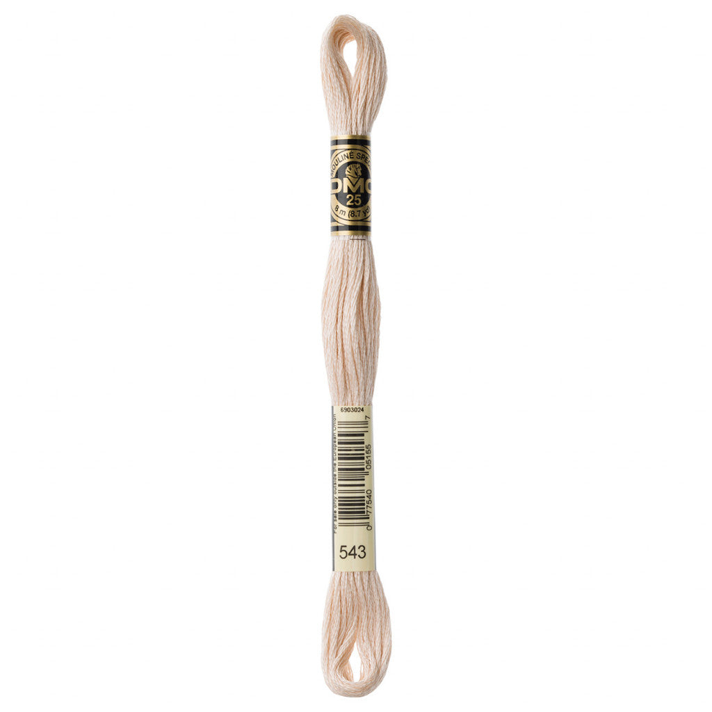 DMC 543 Embroidery Floss - Sewfinity.com