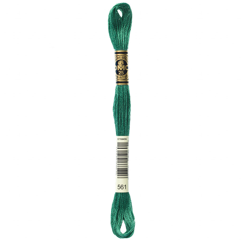 DMC 561 Embroidery Floss - Sewfinity.com
