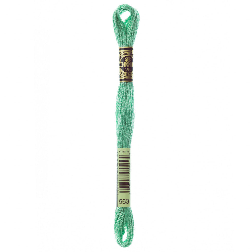 DMC 563 Embroidery Floss - Sewfinity.com
