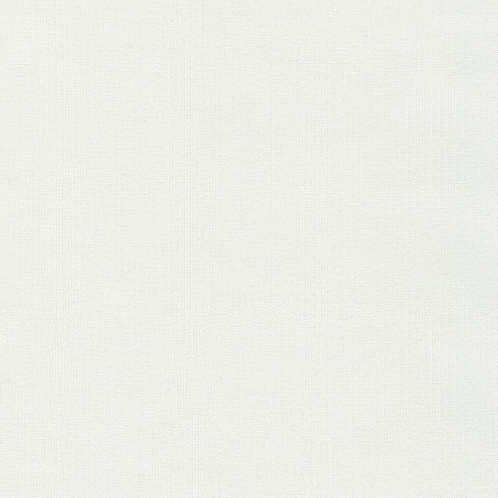 Flannel Solid - Winter