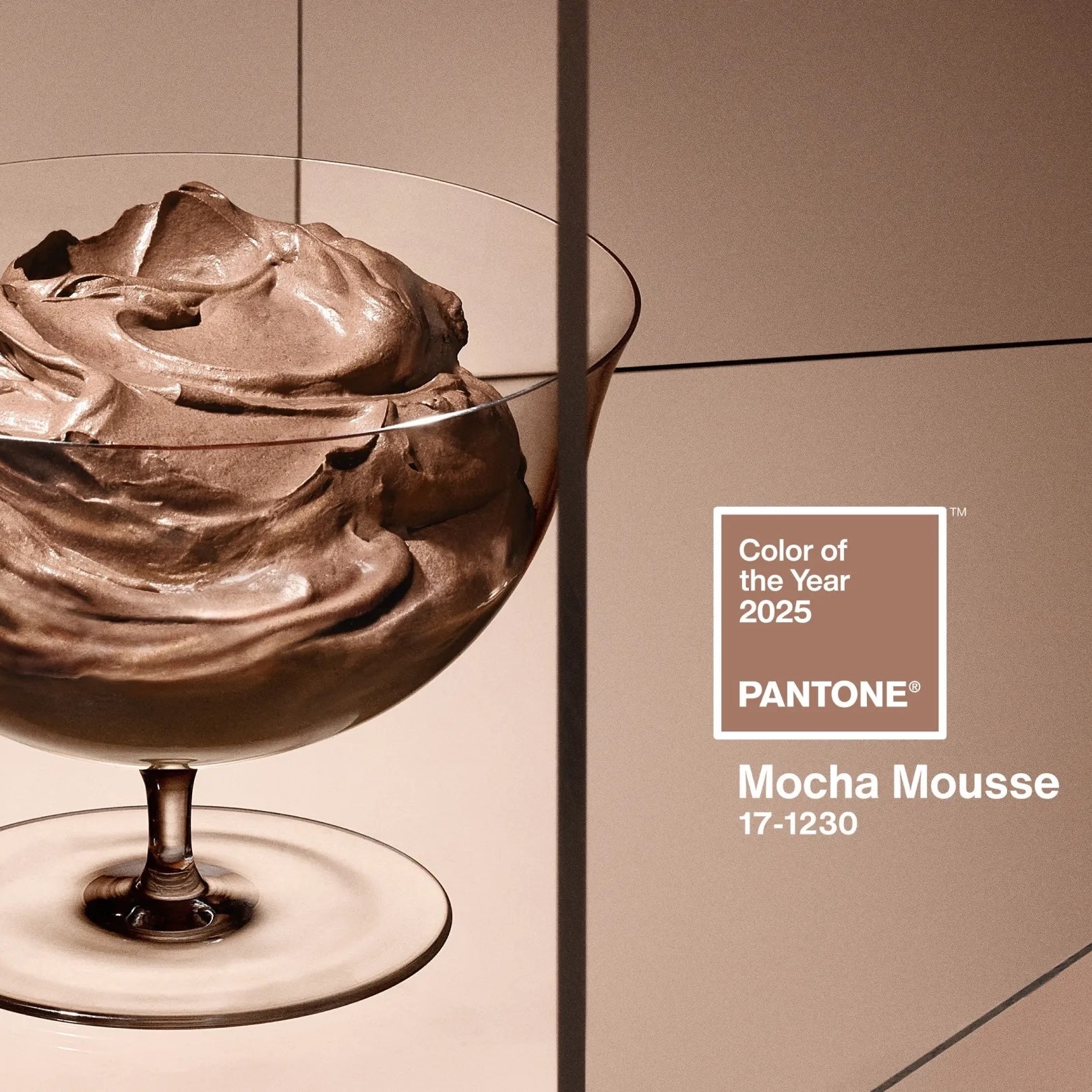 Pantone Color of the Year 2025 - Mocha Mousse - Sewfinity.com