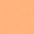 Bella Solids - Apricot - Sewfinity.com