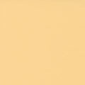 Bella Solids - Butterscotch - Sewfinity.com