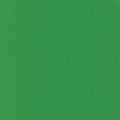 Bella Solids - Kelly - Sewfinity.com