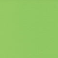 Bella Solids - Lime - Sewfinity.com