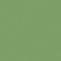 Bella Solids - Meadow - Sewfinity.com