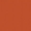 Bella Solids - Nectarine - Sewfinity.com