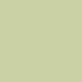 Bella Solids - Pear - Sewfinity.com