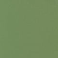 Bella Solids - Prairie Green - Sewfinity.com