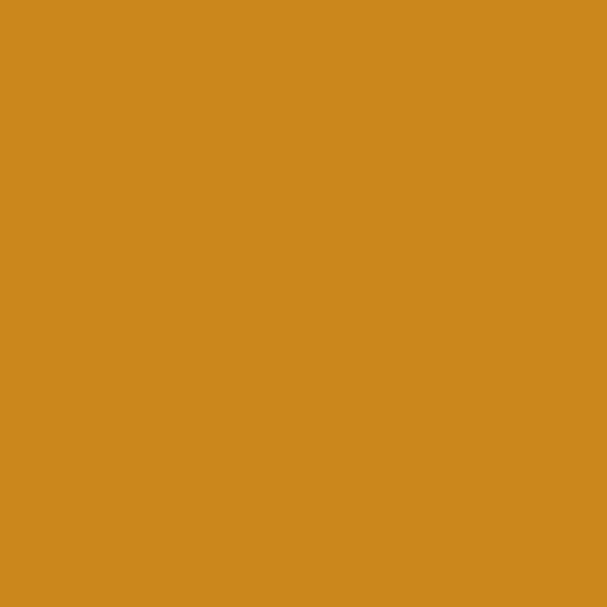 Century Solids - Marigold