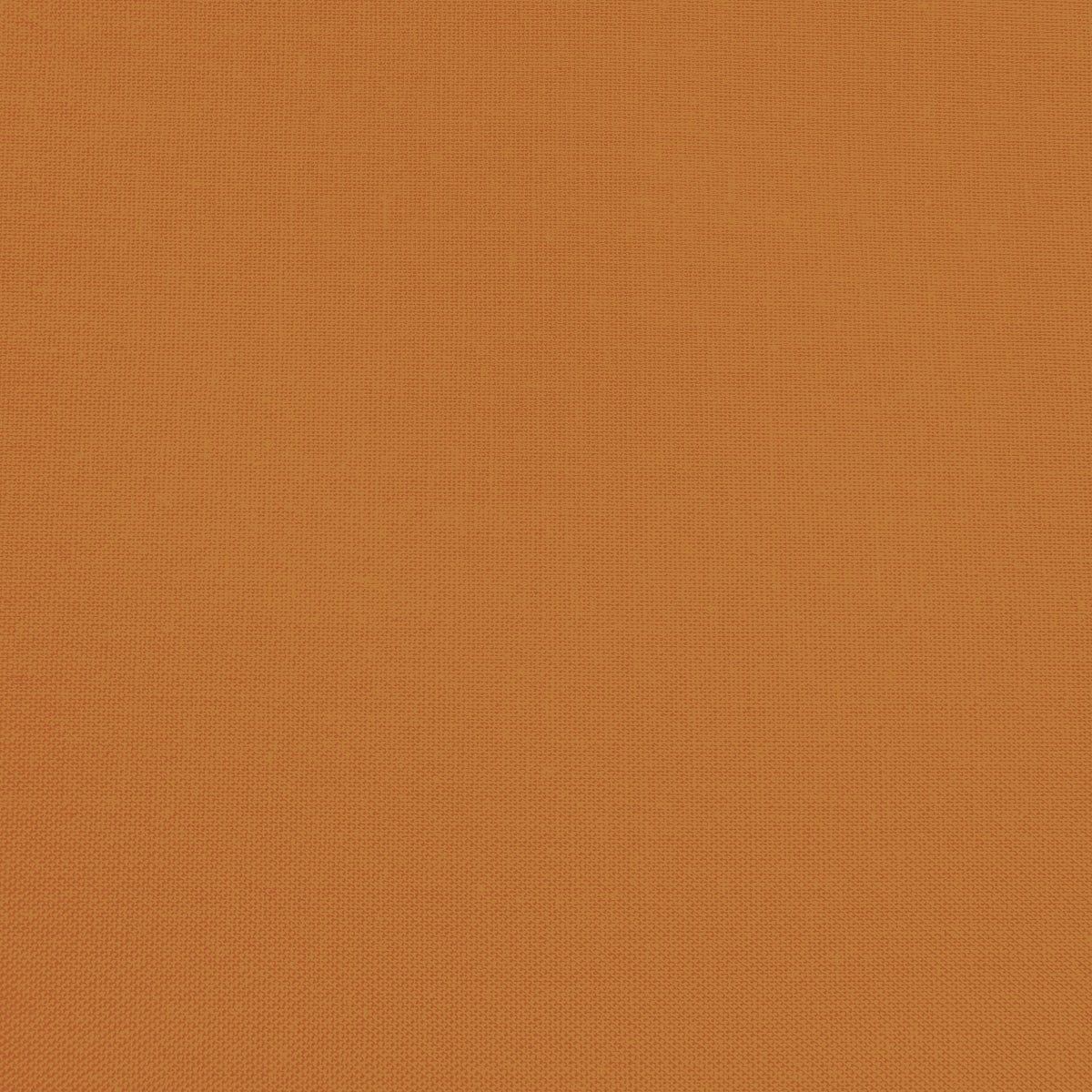Confetti Cotton - Amber - Sewfinity.com