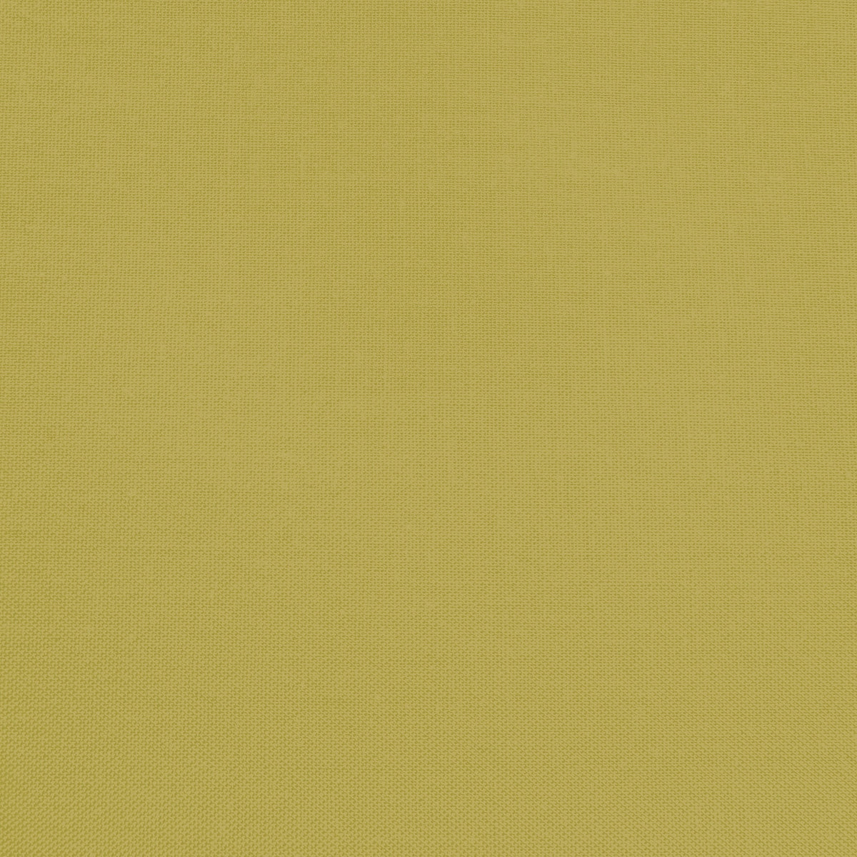 Confetti Cotton - Asparagus - Sewfinity.com