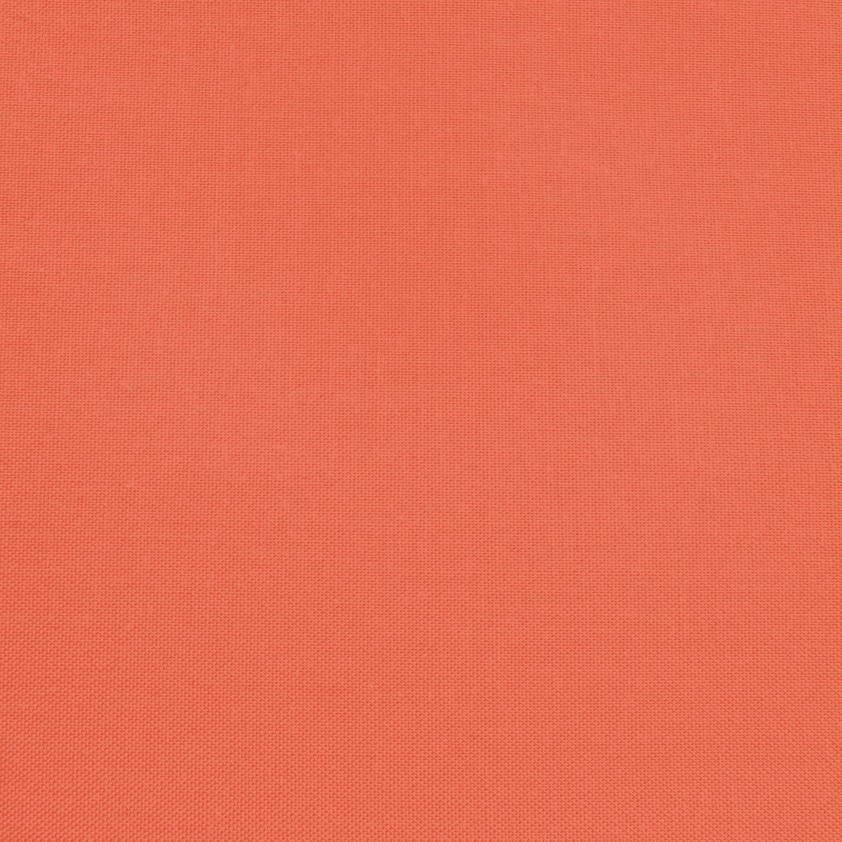Confetti Cotton - Autumn - Sewfinity.com
