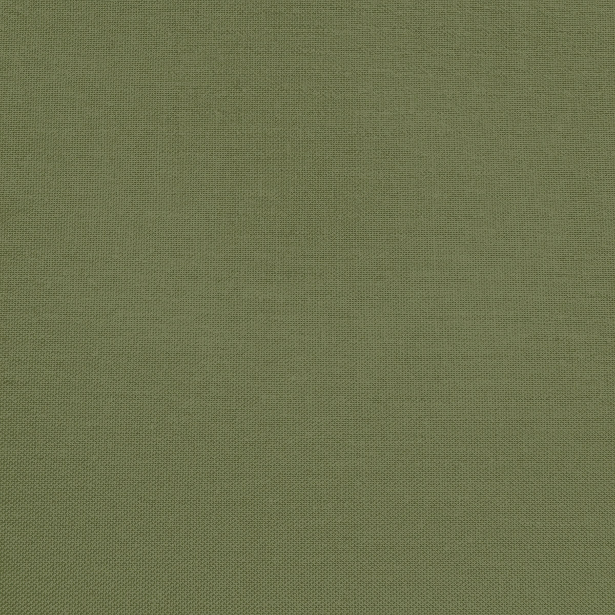 Confetti Cotton - Avocado - Sewfinity.com