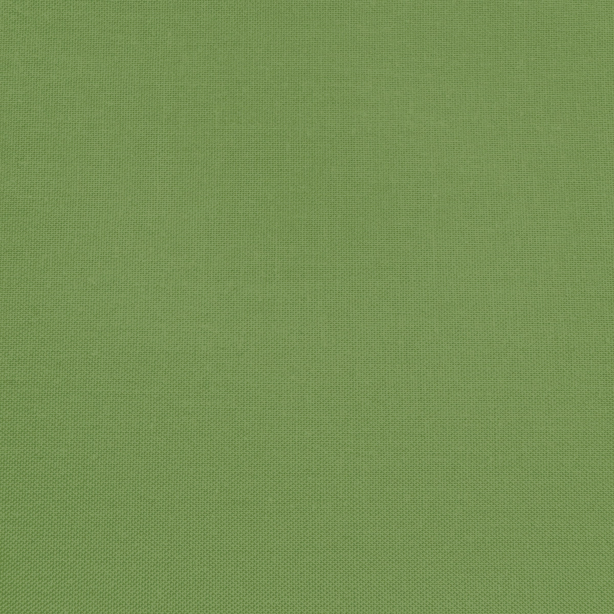 Confetti Cotton - Basil - Sewfinity.com
