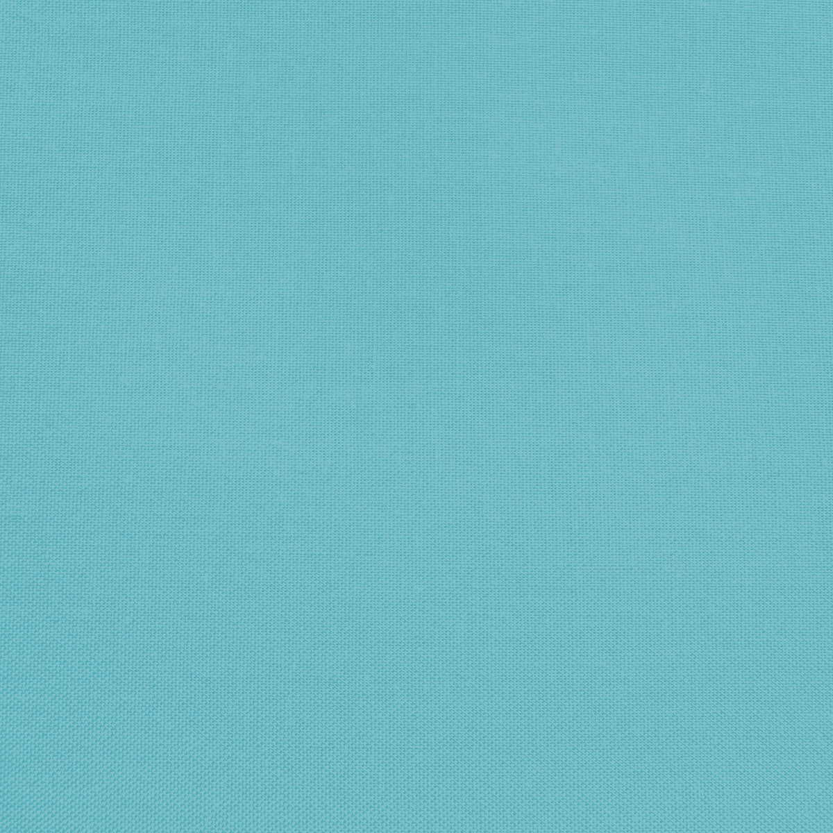 Confetti Cotton - Bear Lake - Sewfinity.com