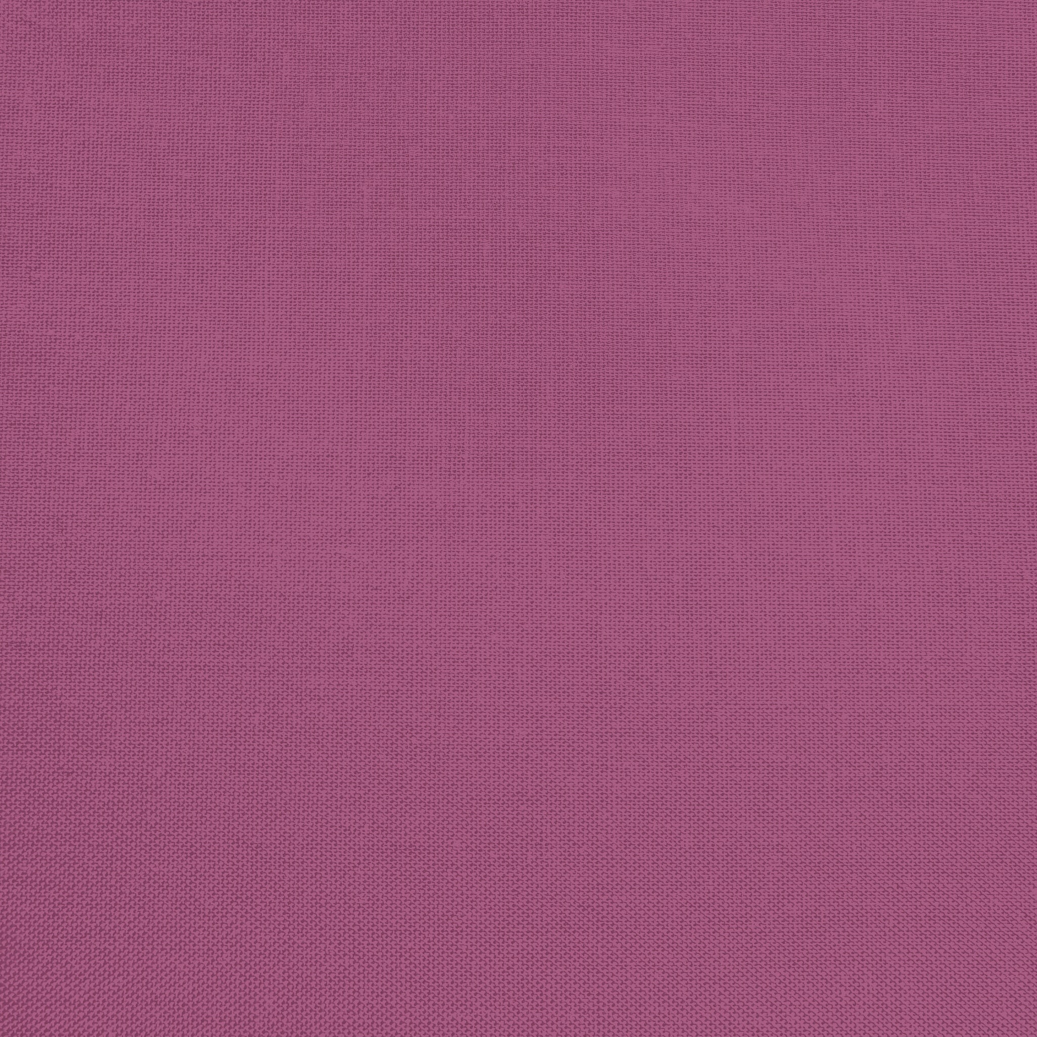 Confetti Cotton - Boysenberry - Sewfinity.com