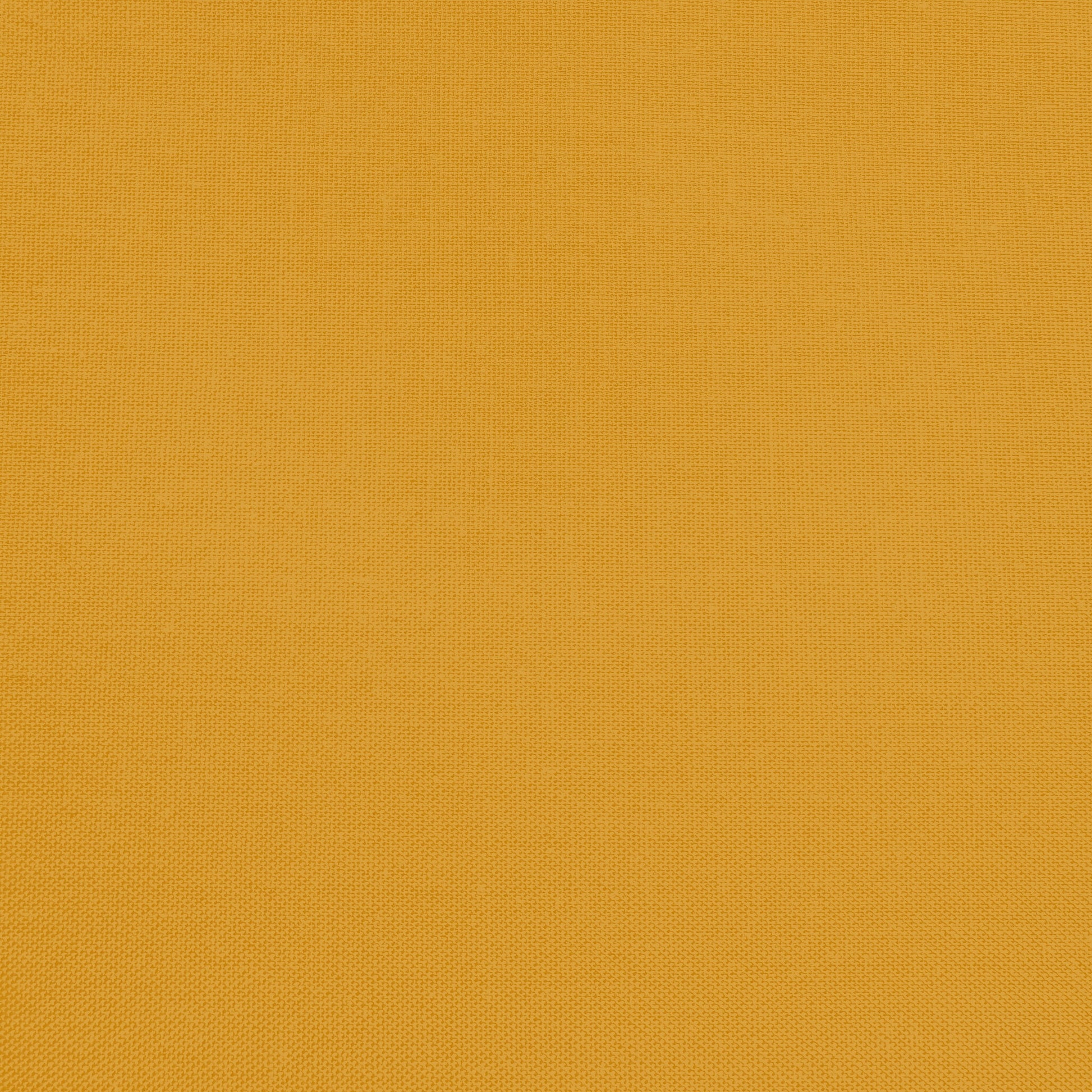 Confetti Cotton - Butterscotch - Sewfinity.com