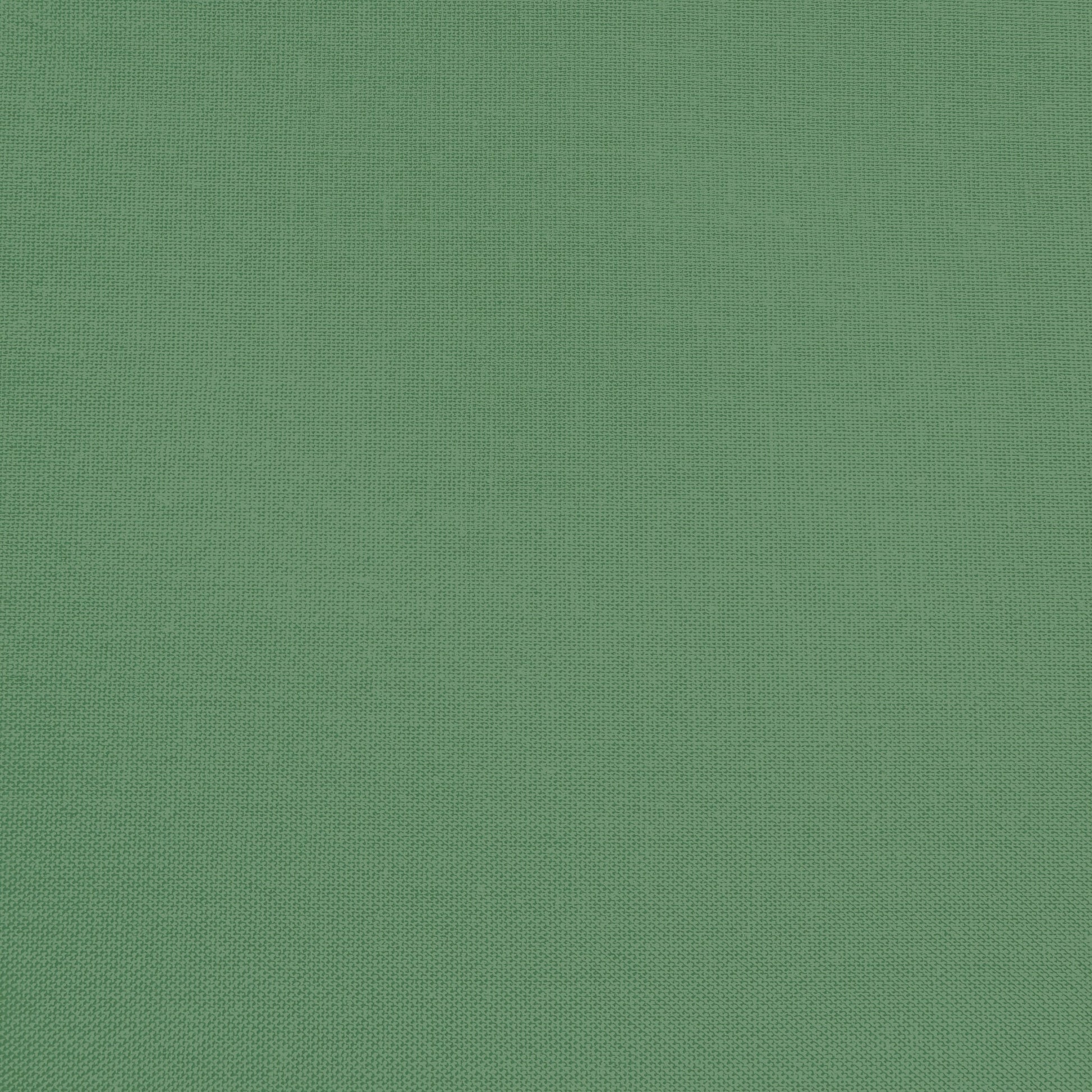 Confetti Cotton - Cactus - Sewfinity.com