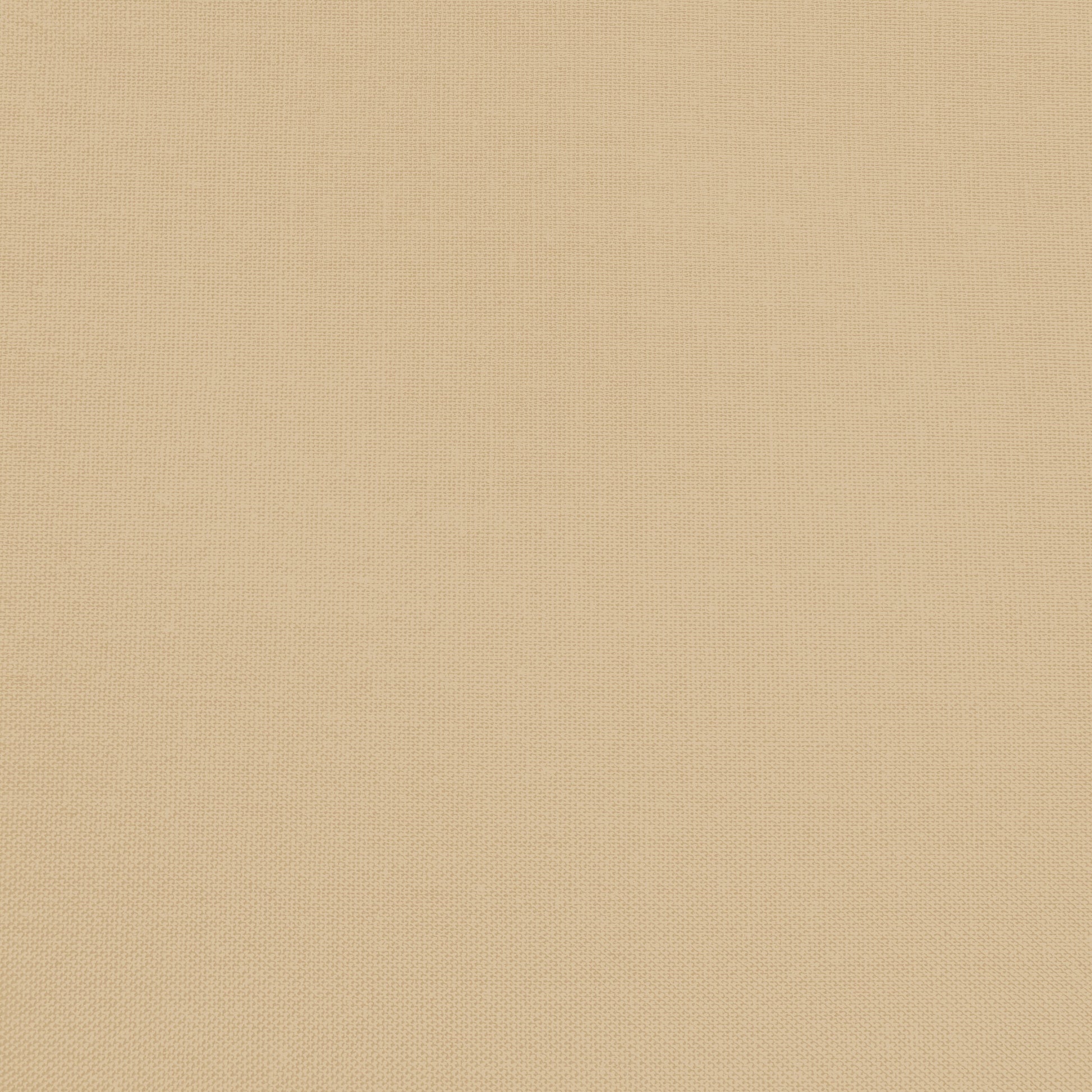 Confetti Cotton - Cappuccino - Sewfinity.com