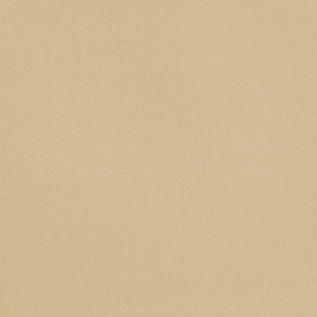 Confetti Cotton - Cappuccino - Sewfinity.com