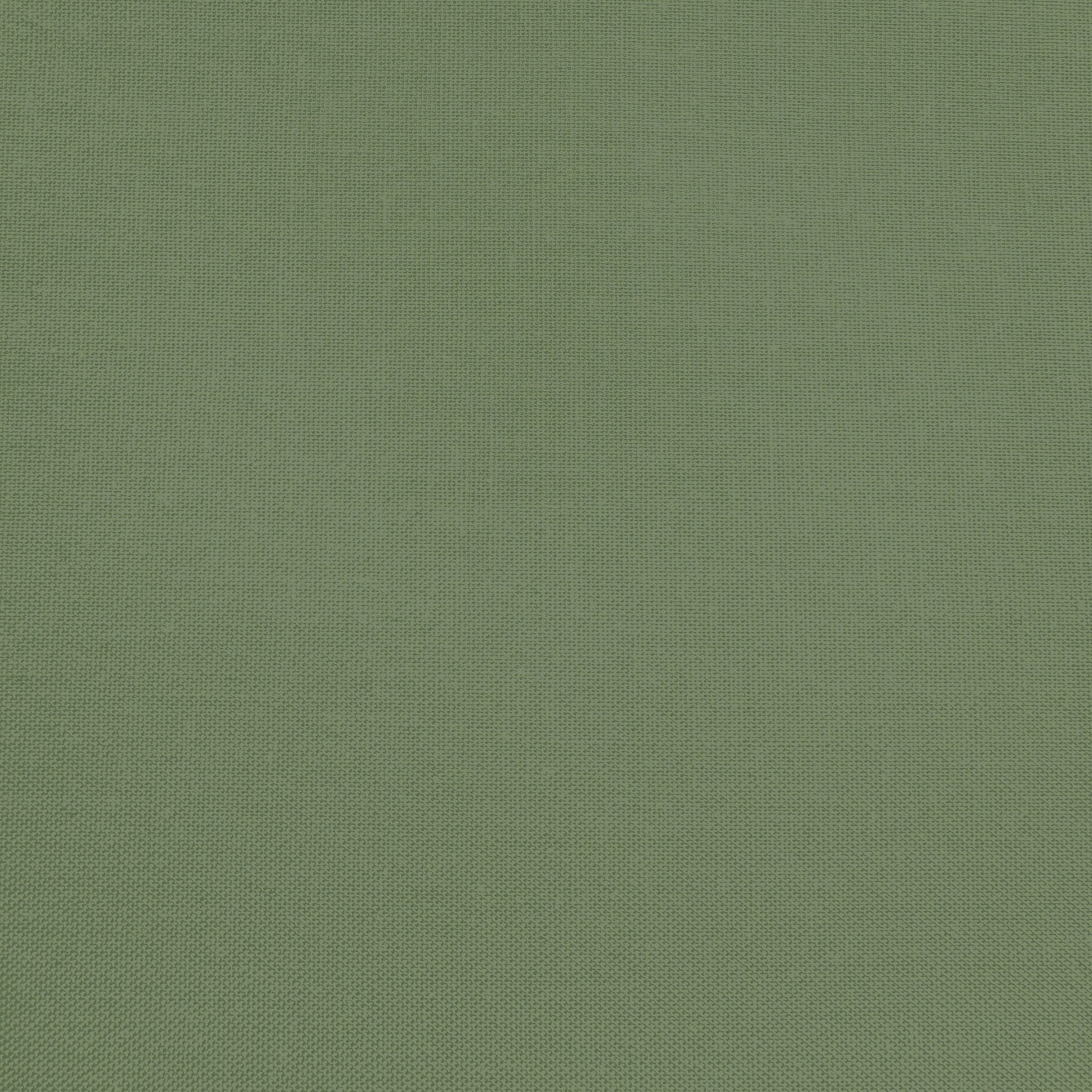 Confetti Cotton - Chive - Sewfinity.com