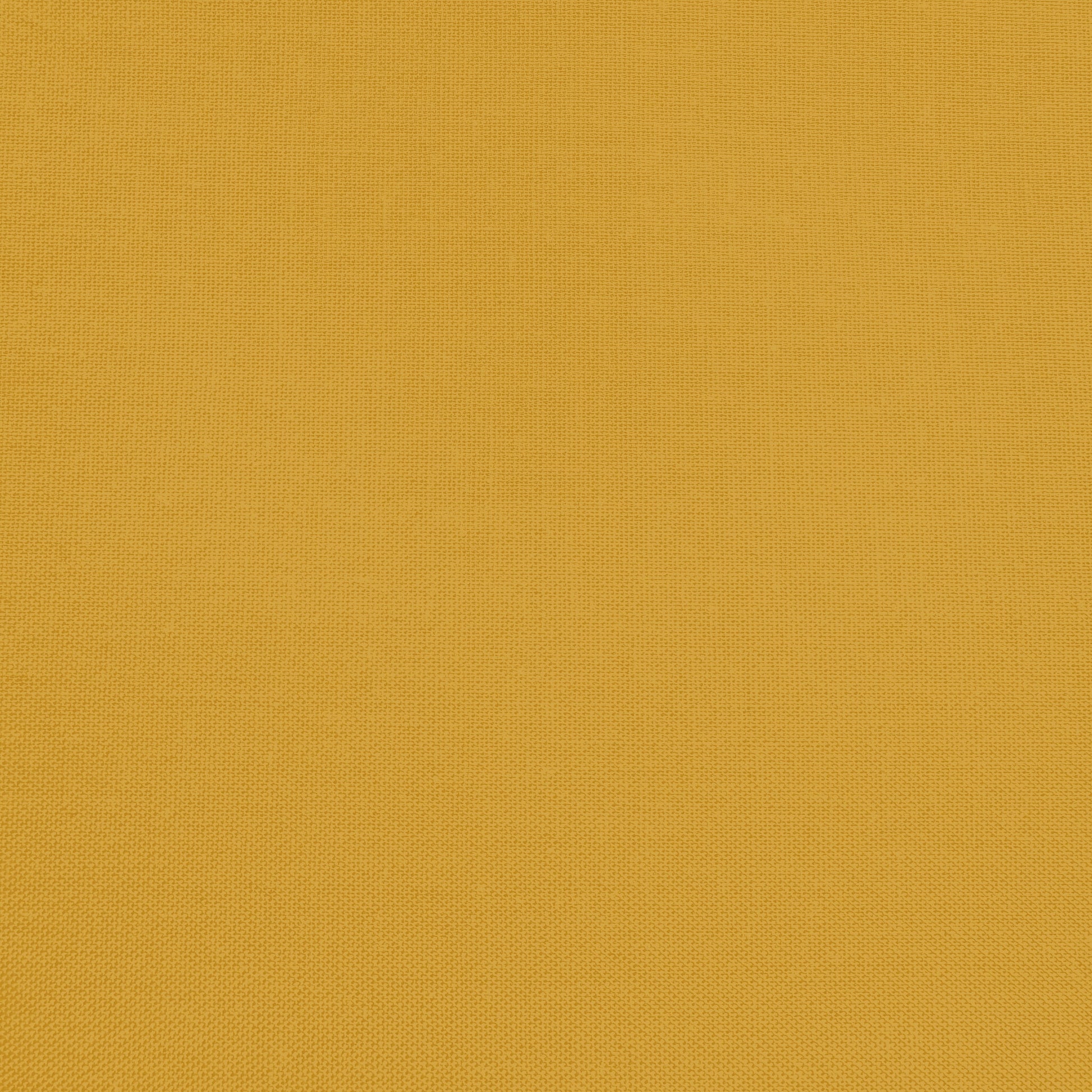 Confetti Cotton - Cider - Sewfinity.com