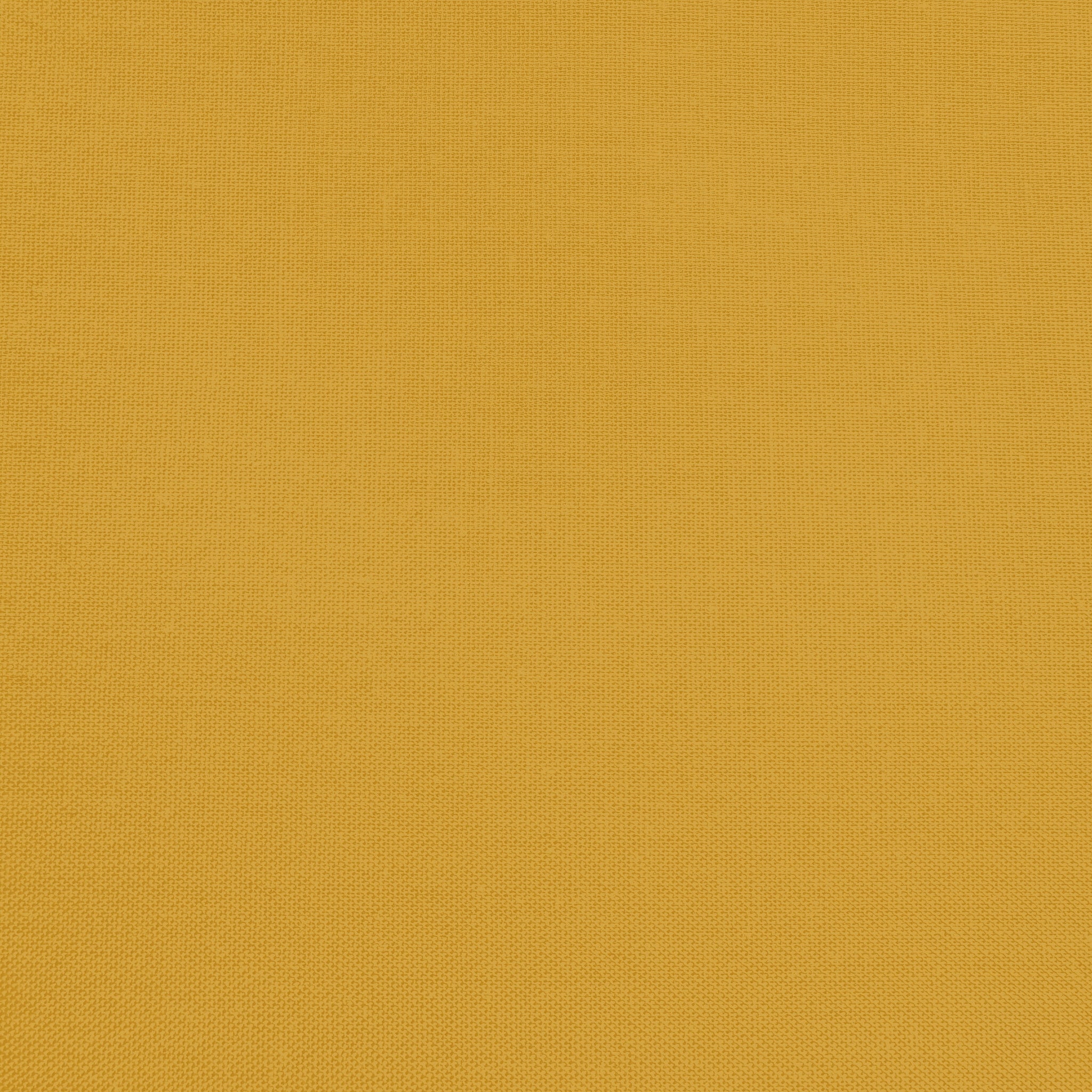Confetti Cotton - Cider - Sewfinity.com
