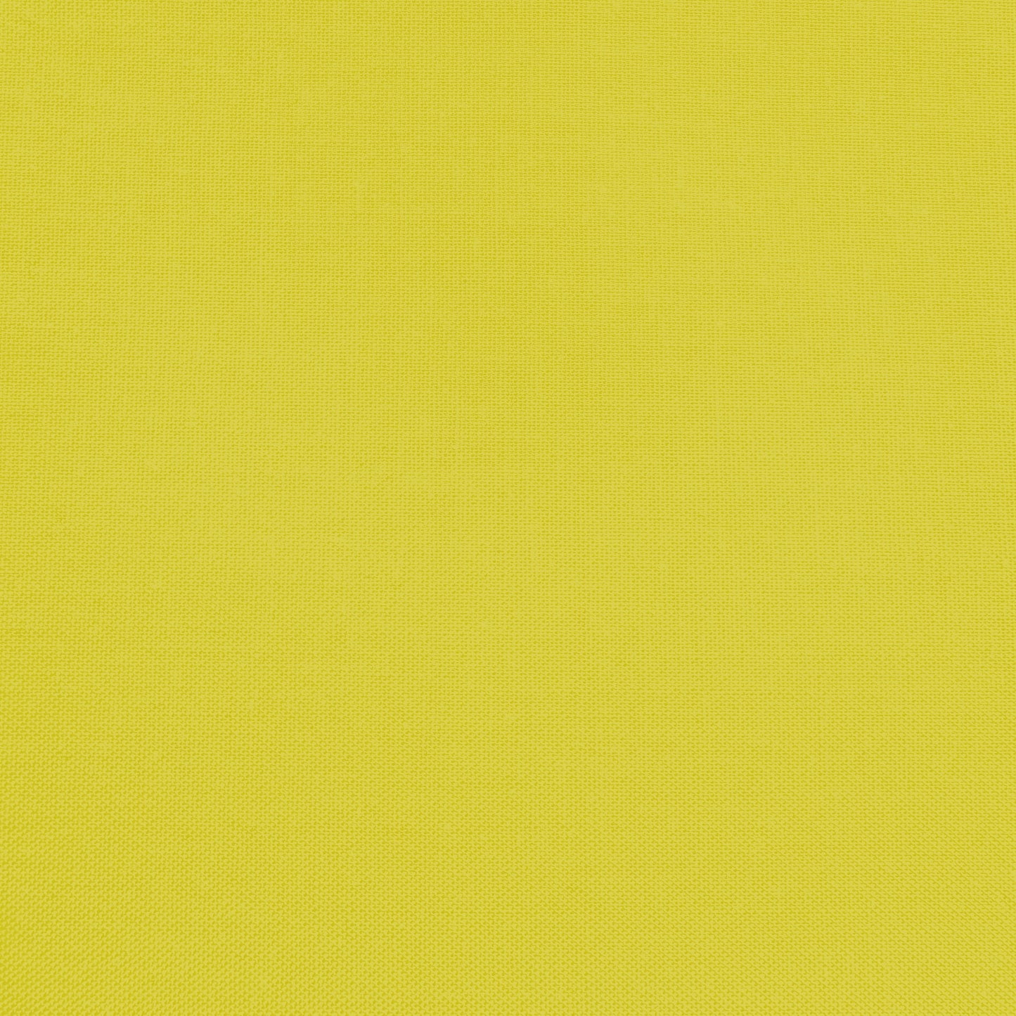 Confetti Cotton - Citron - Sewfinity.com