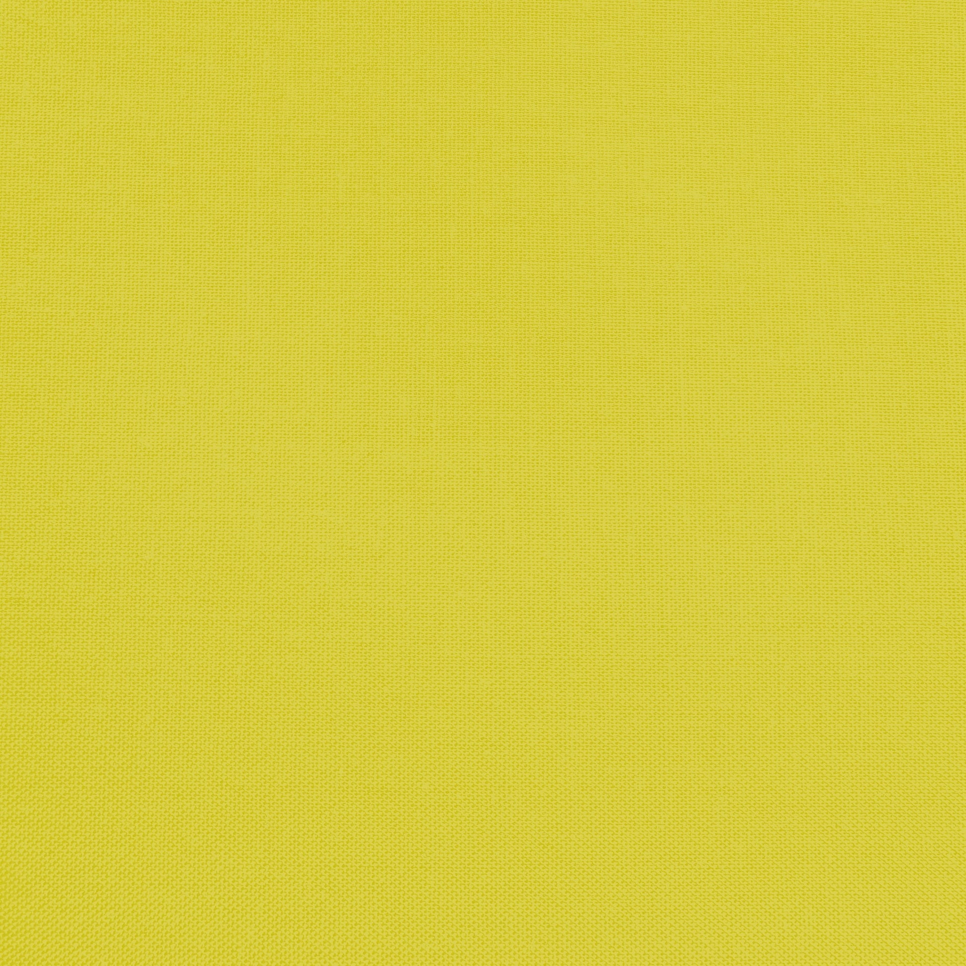 Confetti Cotton - Citron - Sewfinity.com