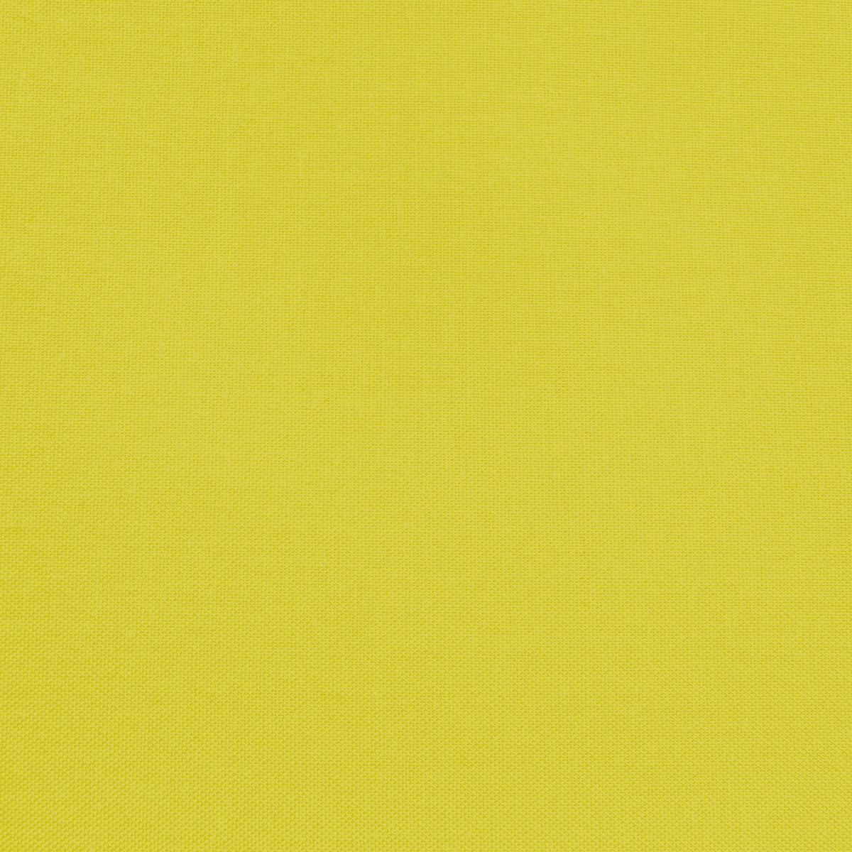 Confetti Cotton - Citron - Sewfinity.com