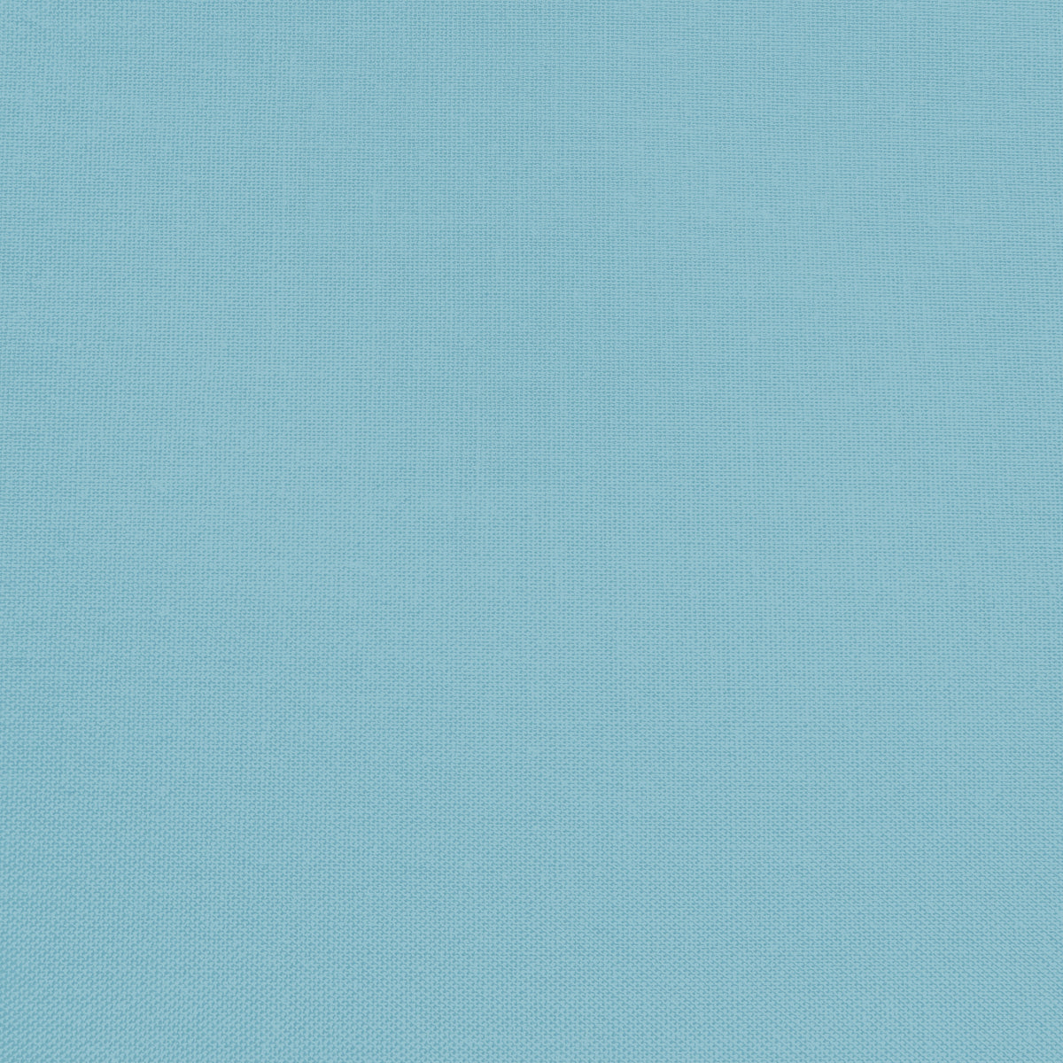 Confetti Cotton - Cornflower - Sewfinity.com