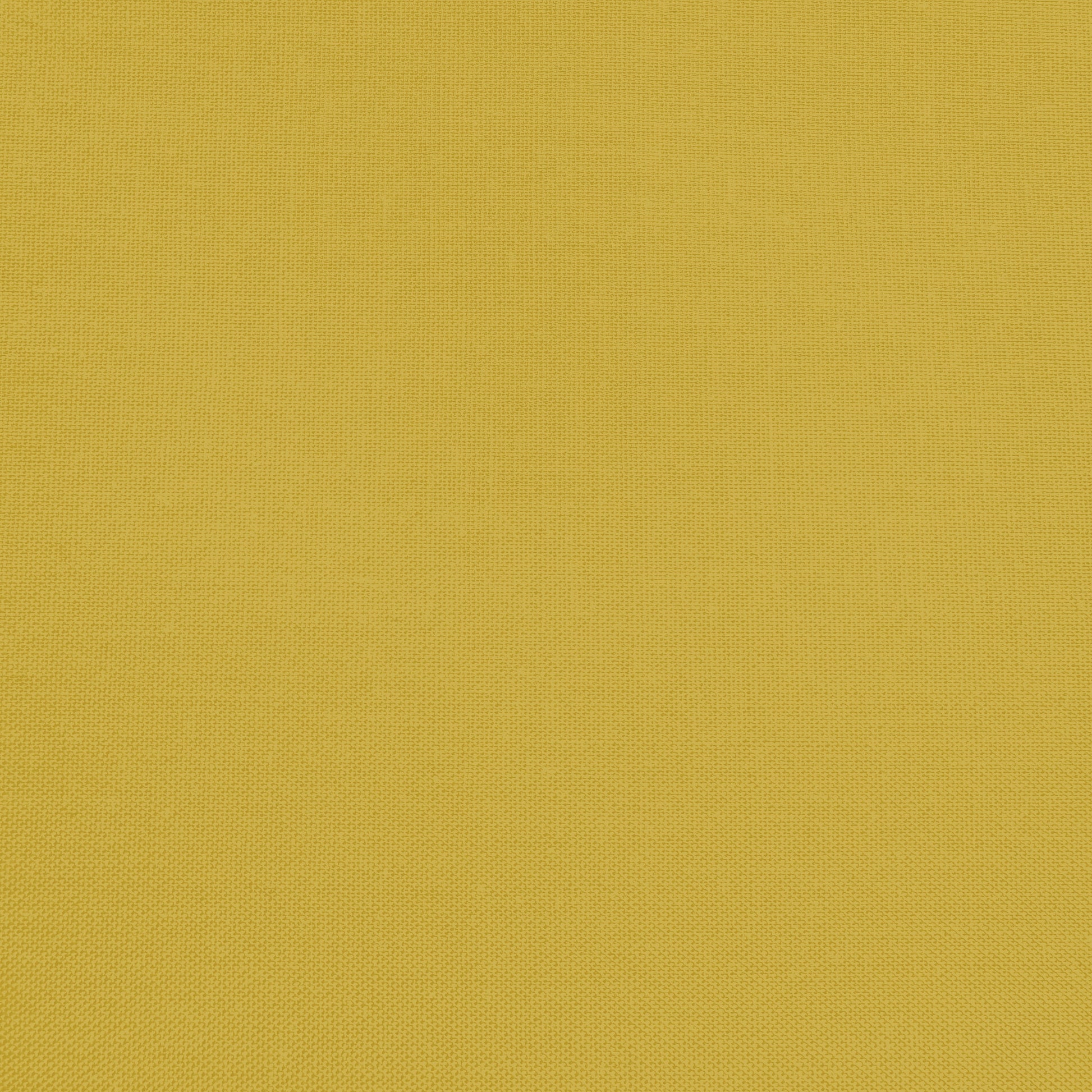 Confetti Cotton - Curry - Sewfinity.com