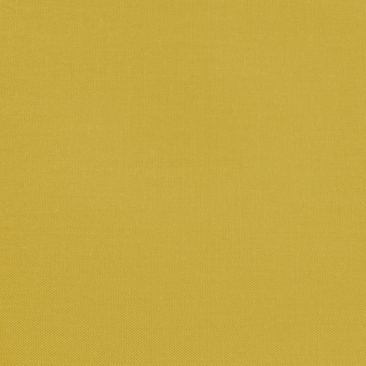 Confetti Cotton - Curry - Sewfinity.com